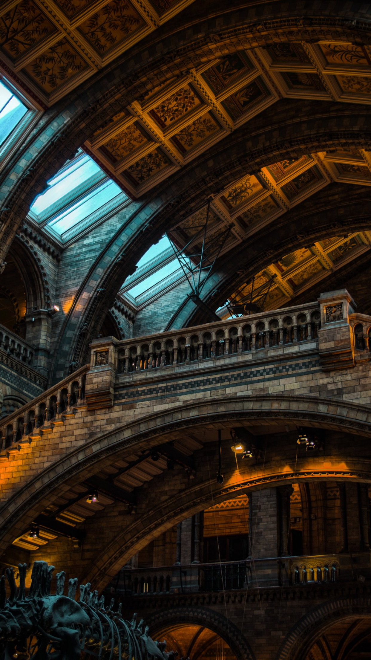 Inside of Natural History Museum from London wallpaper 1242x2208