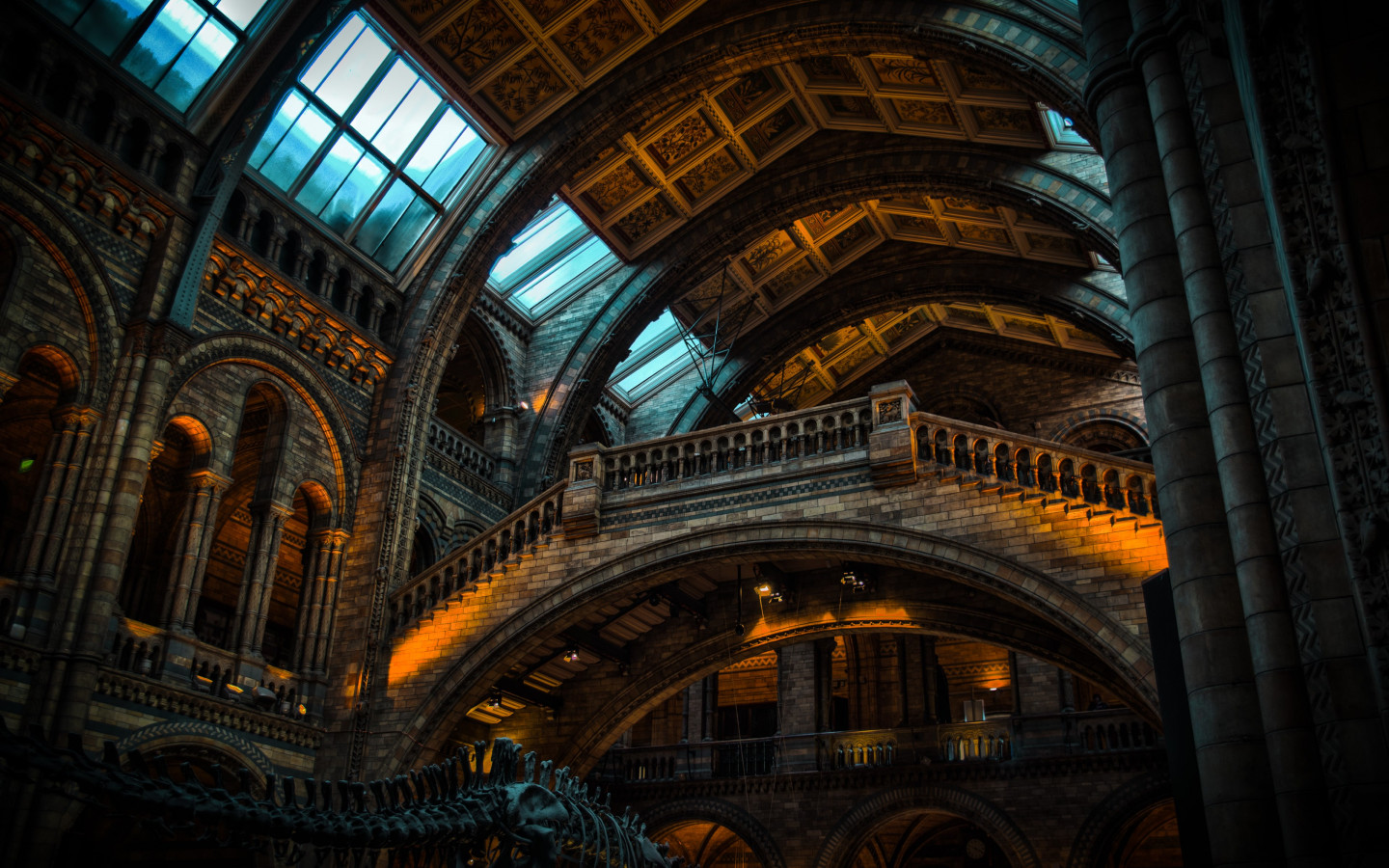 Inside of Natural History Museum from London wallpaper 1440x900
