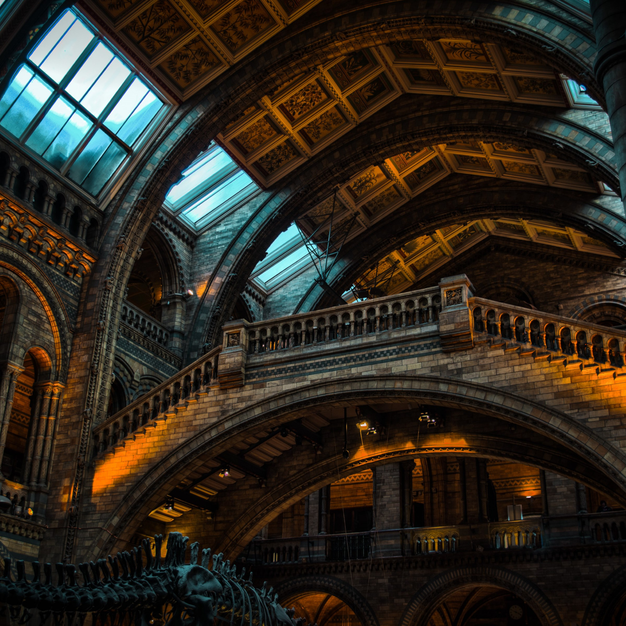 Inside of Natural History Museum from London wallpaper 2048x2048