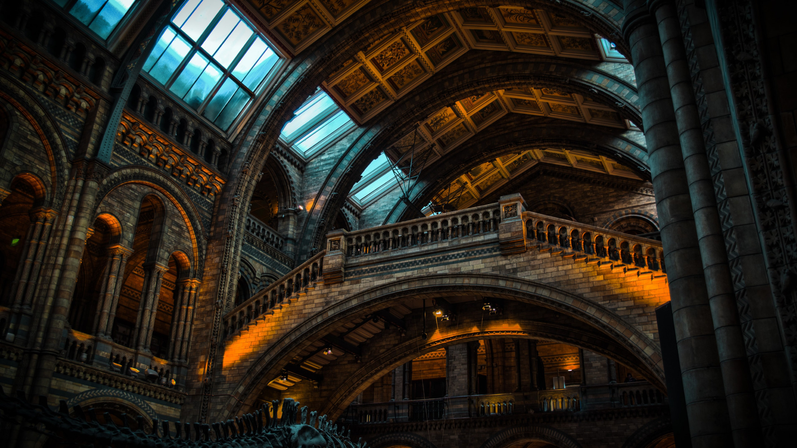 Inside of Natural History Museum from London wallpaper 2560x1440