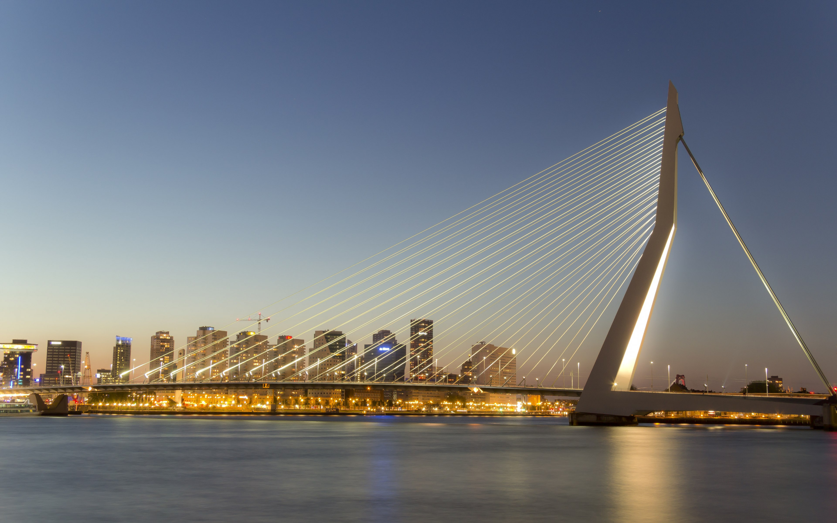 Erasmus bridge wallpaper 2880x1800