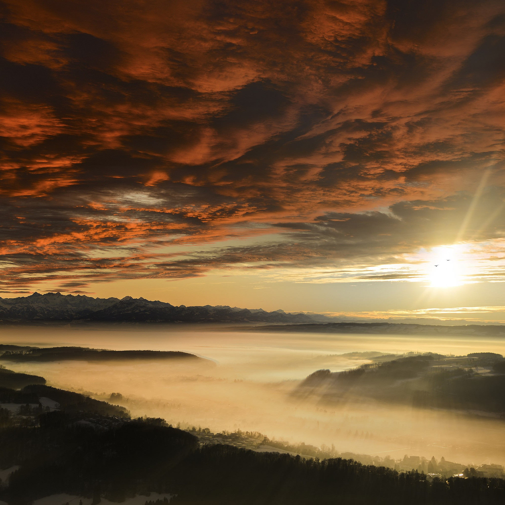 Sunset from Uetliberg, Switzerland wallpaper 2048x2048