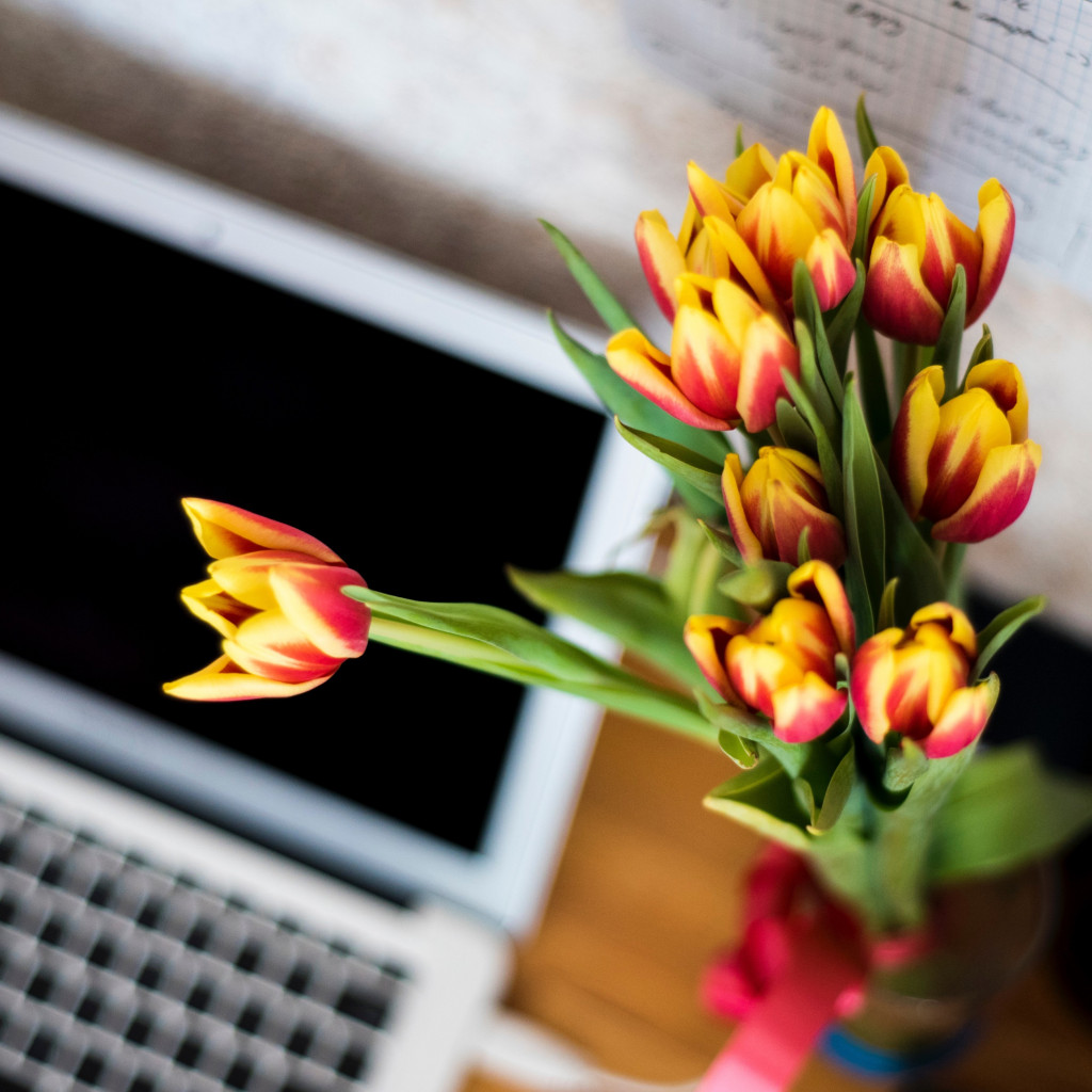 Laptop and tulips bouquet wallpaper 1024x1024