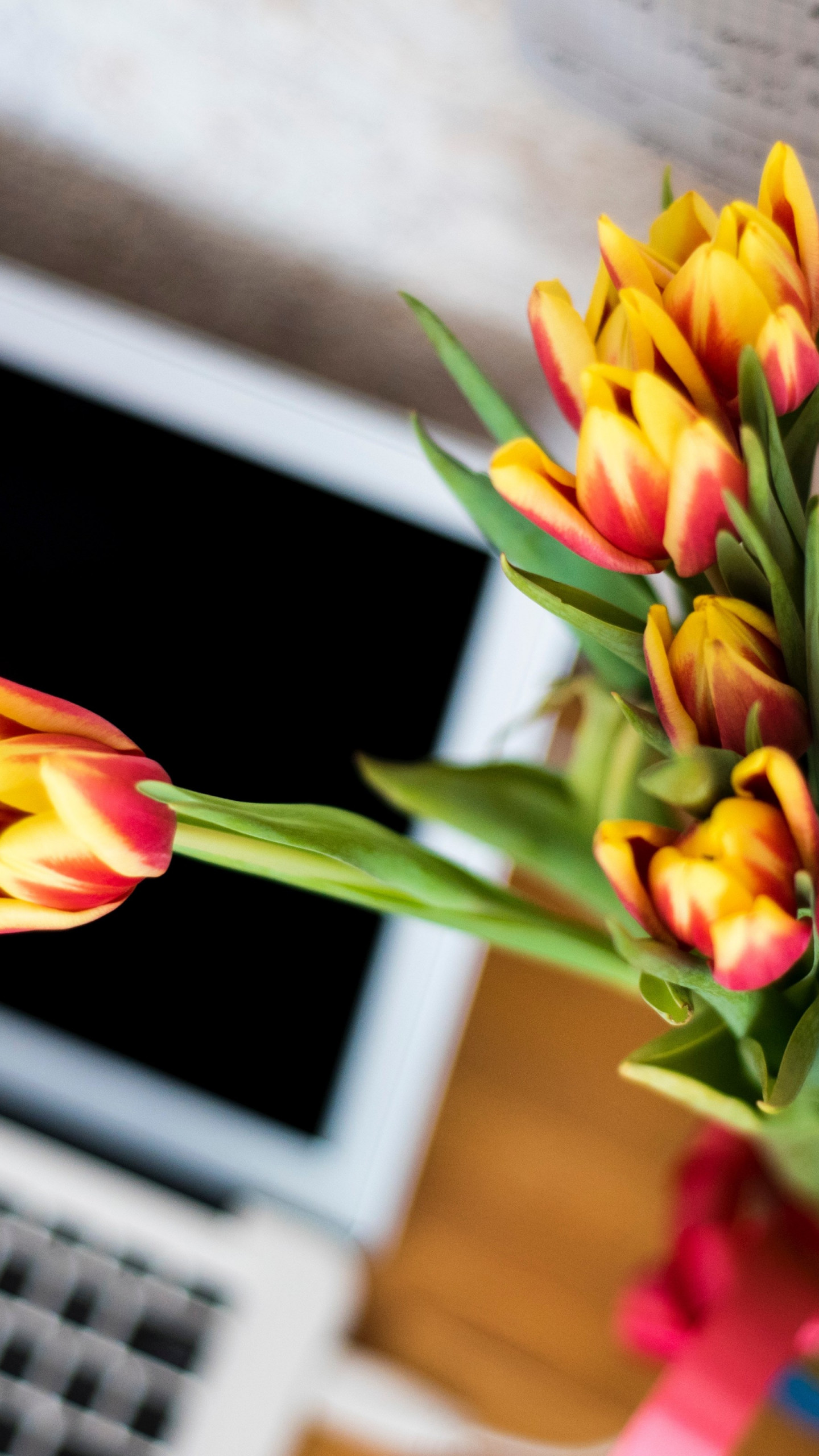 Laptop and tulips bouquet wallpaper 1440x2560