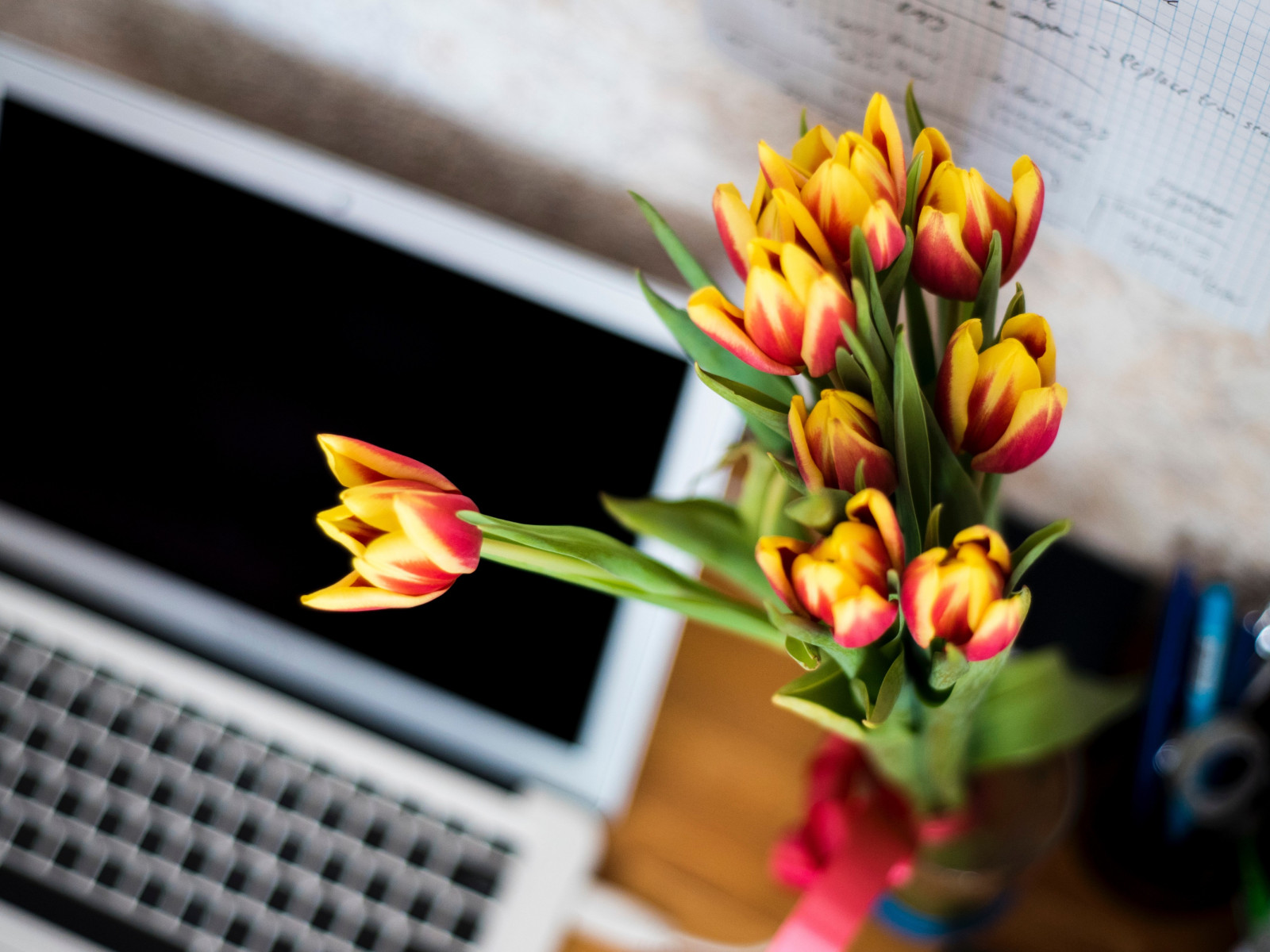 Laptop and tulips bouquet wallpaper 1600x1200