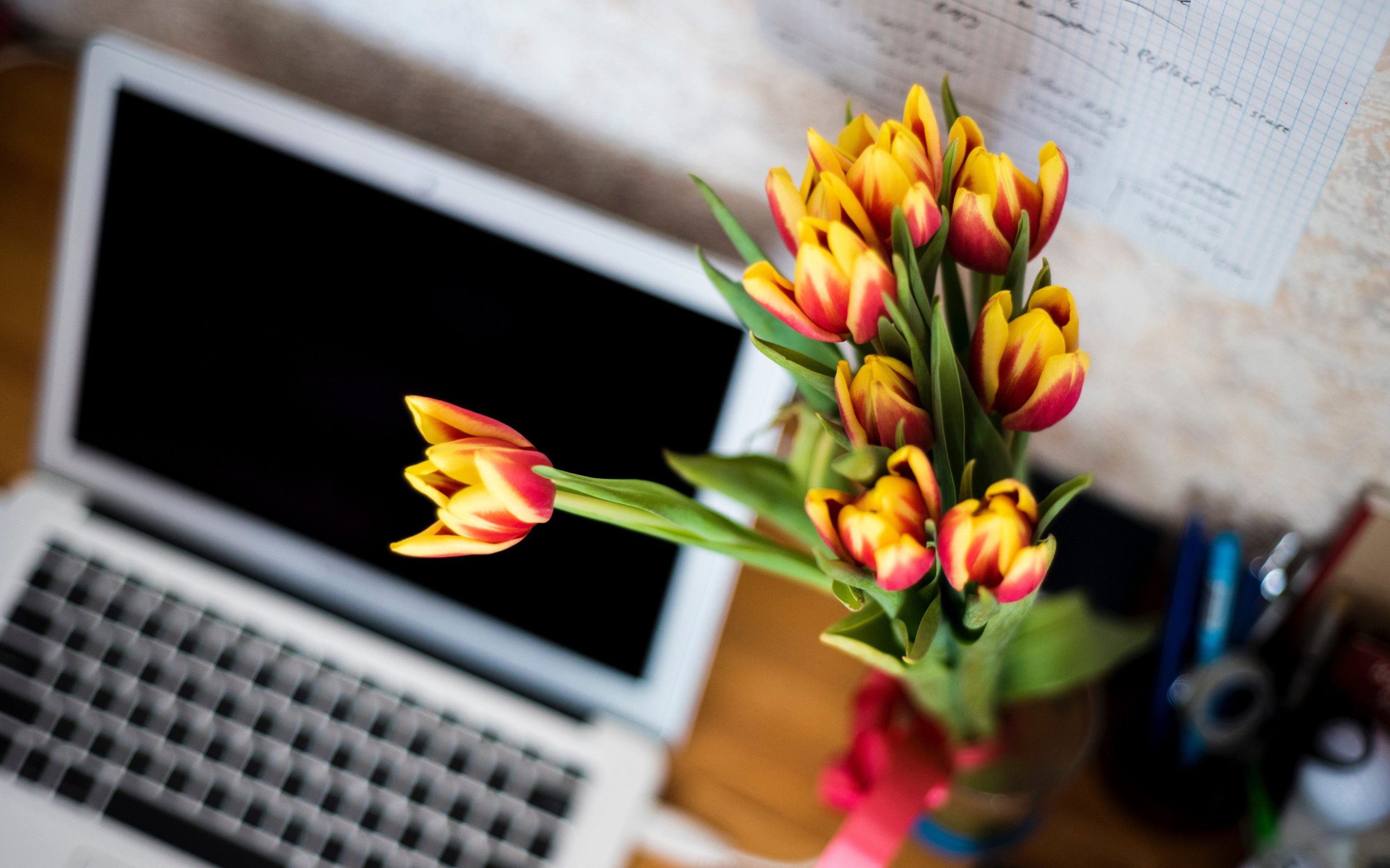 Laptop and tulips bouquet wallpaper 2880x1800