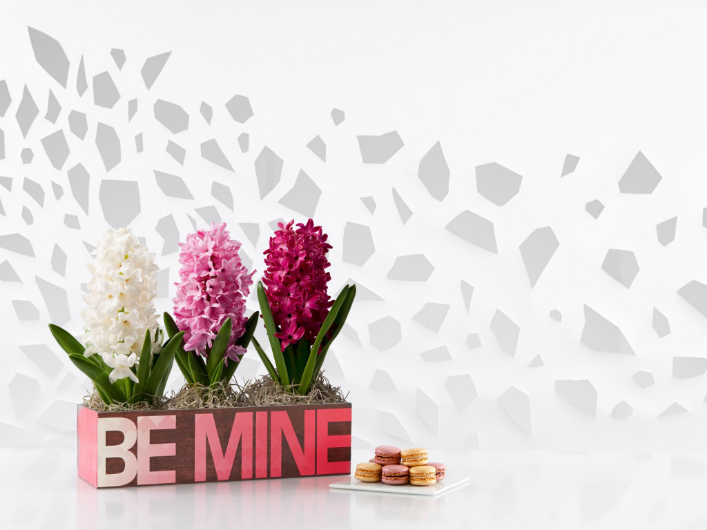 Flowers, be mine, cookies wallpaper 1024x768