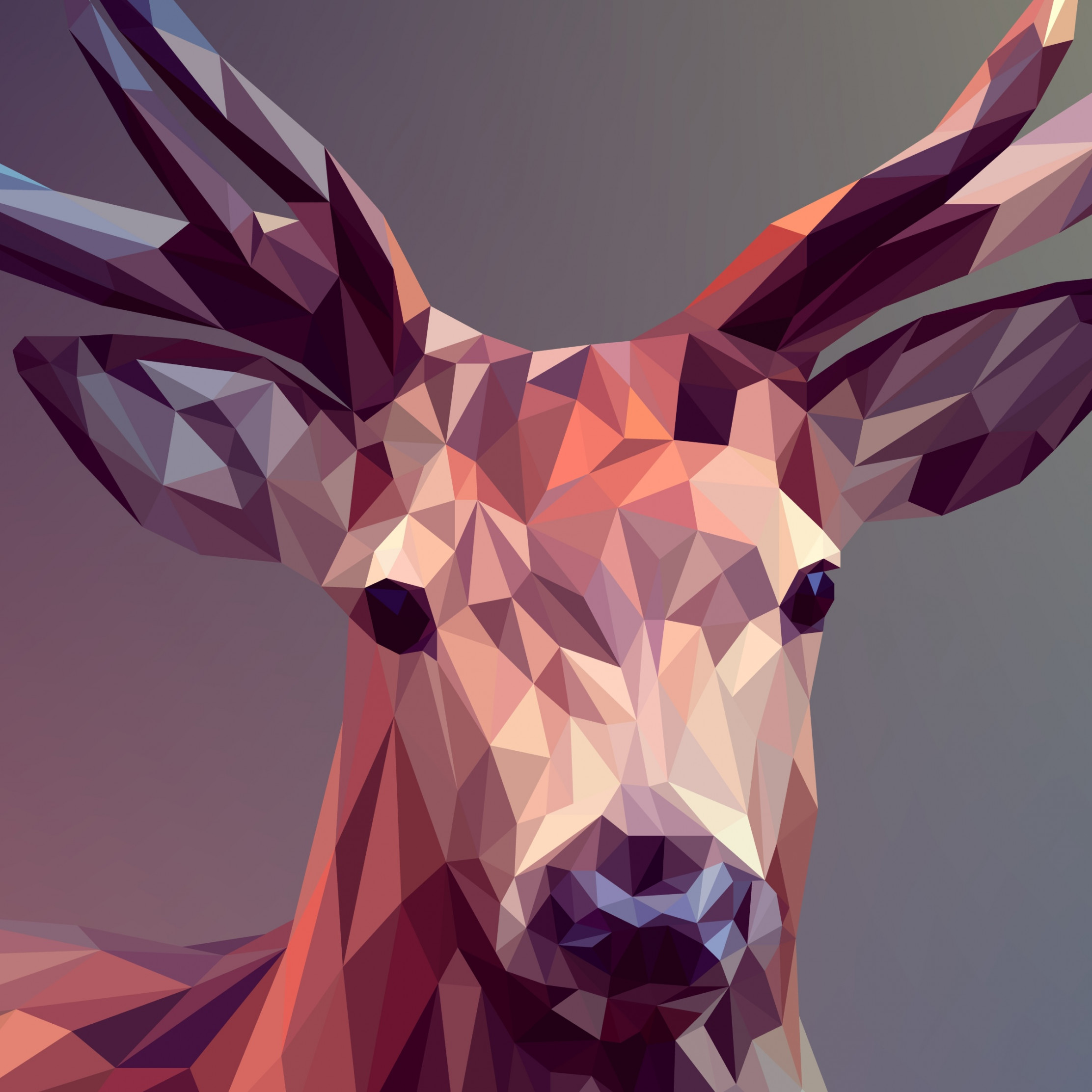 Low Poly Illustration: Deer wallpaper 2224x2224