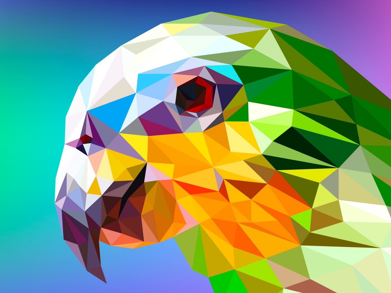 Low Poly Illustration: Parrot wallpaper 1600x1200