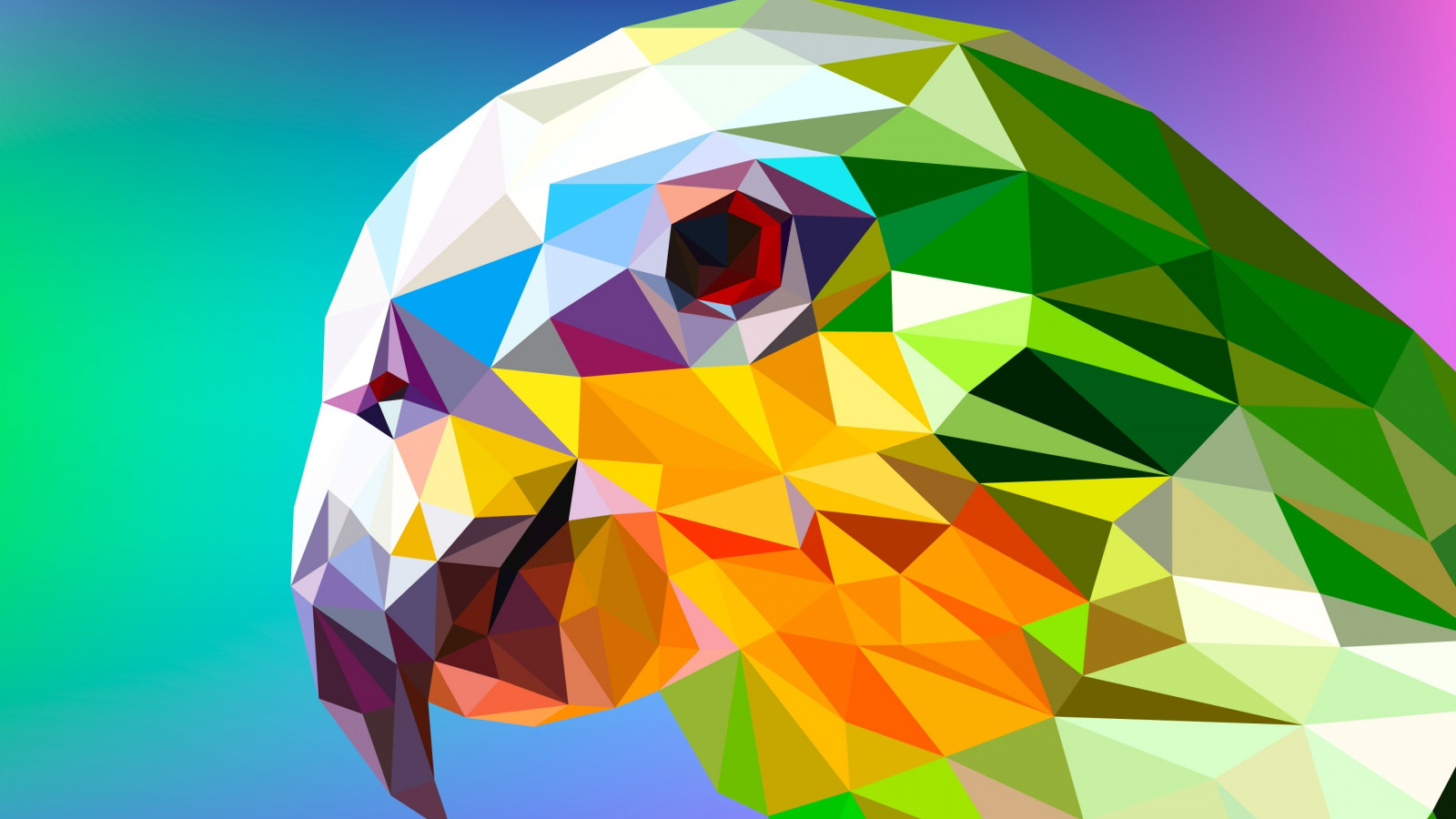 Low Poly Illustration: Parrot wallpaper 1600x900