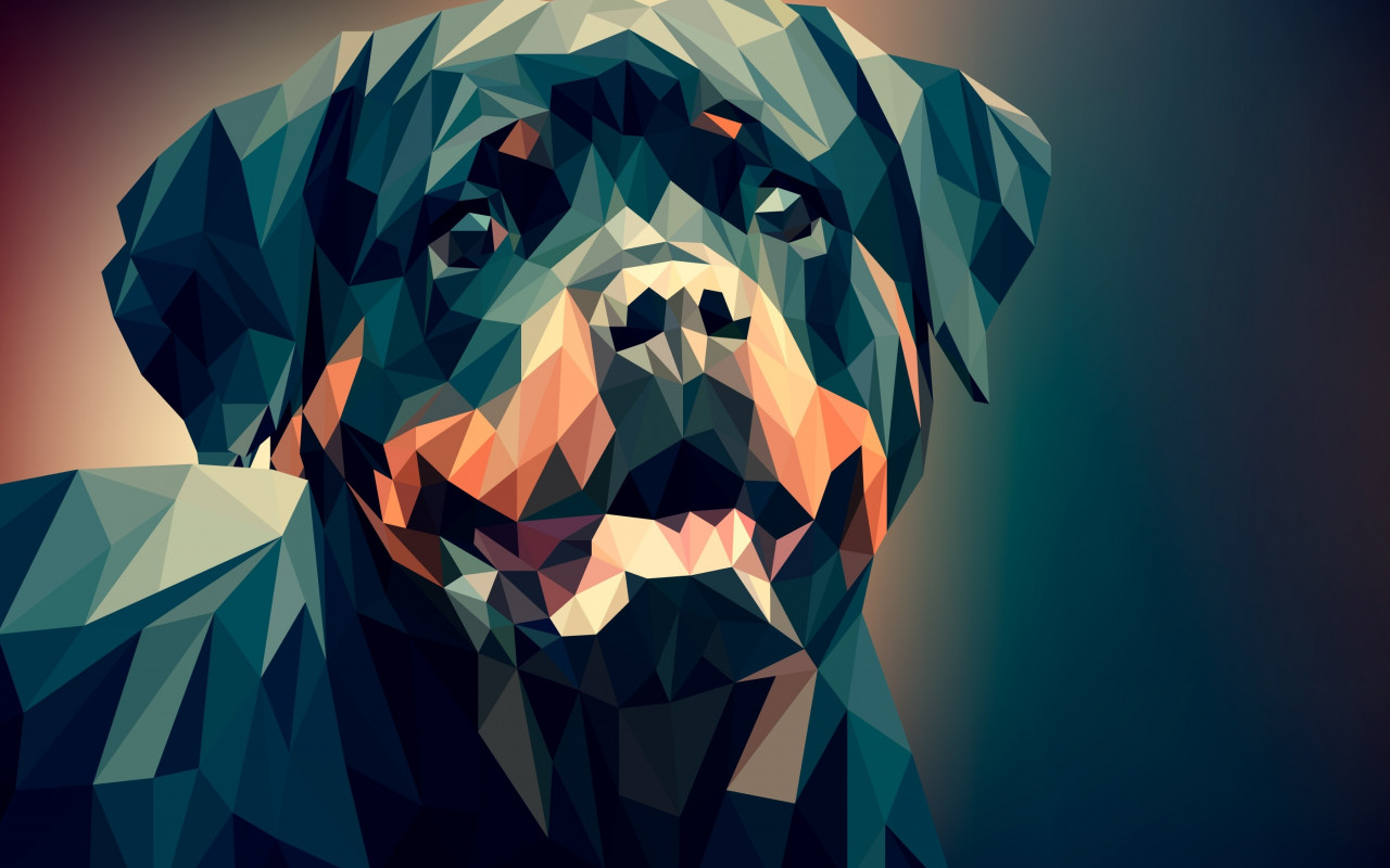 Low Poly Illustration: Rottweiler wallpaper 1280x800
