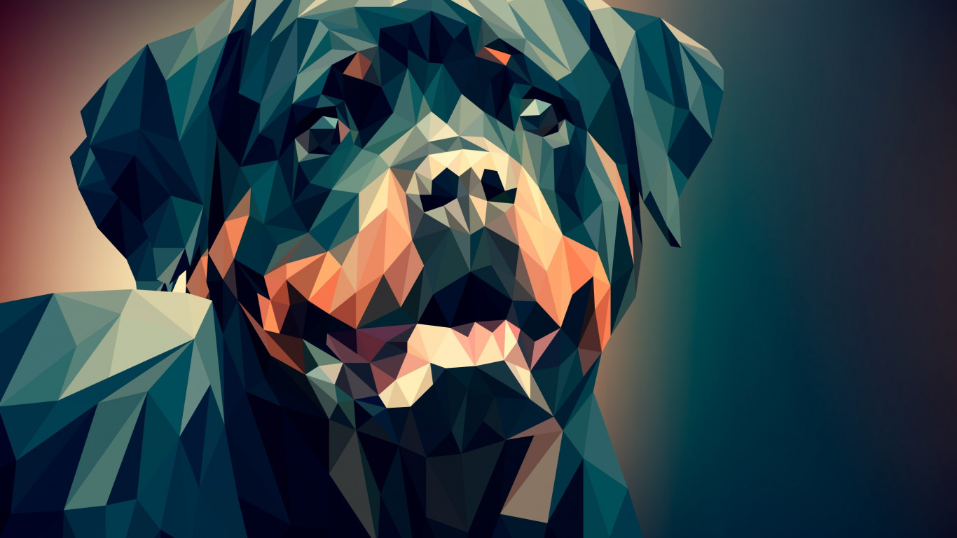 Low Poly Illustration: Rottweiler wallpaper 1366x768