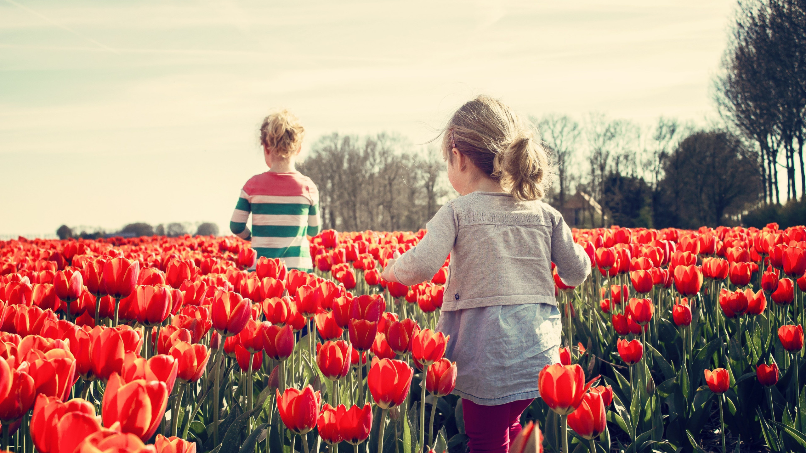 Children in the land with tulips wallpaper 2560x1440