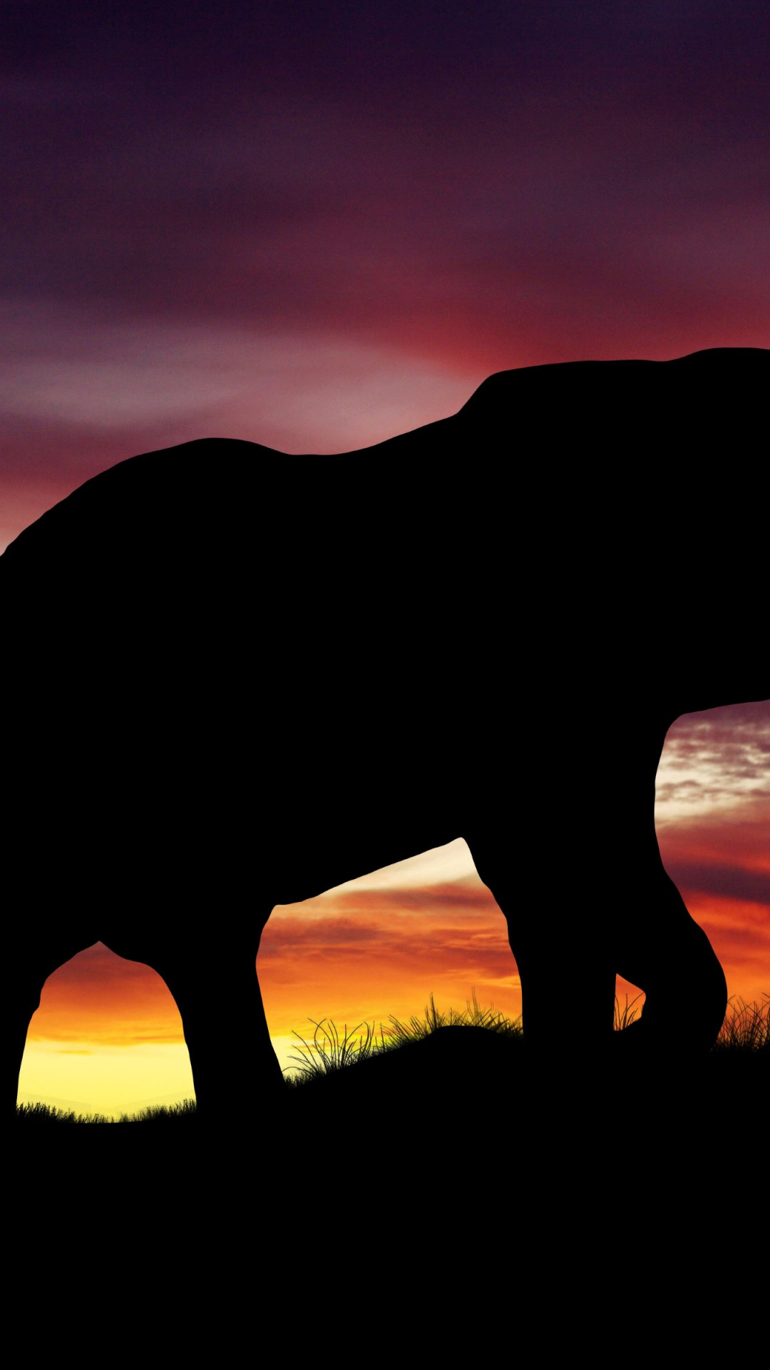 Elephant silhouette wallpaper 1080x1920