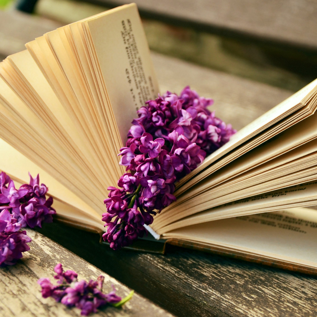 Lilac flowers and a good book wallpaper 1024x1024