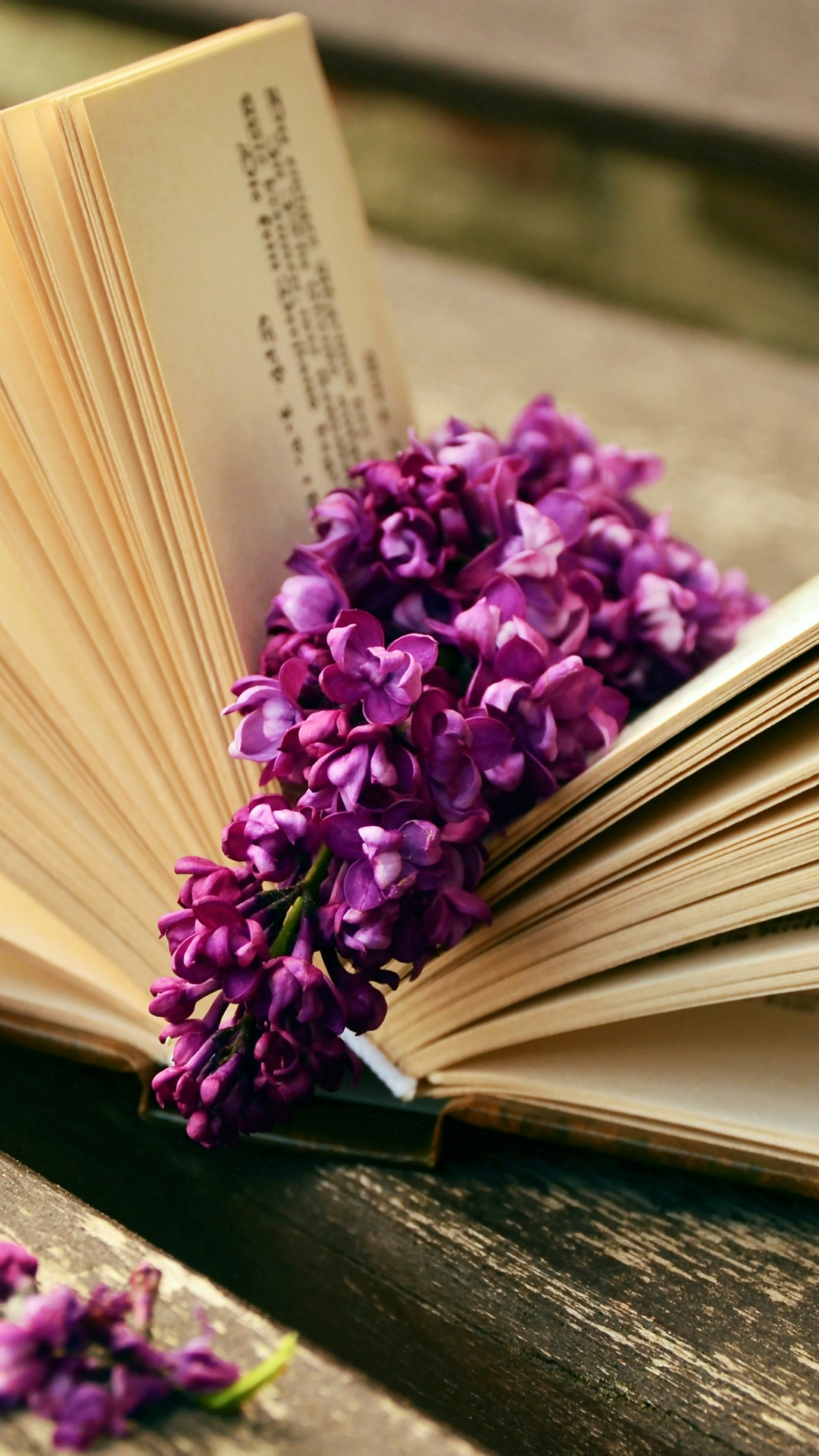 Lilac flowers and a good book wallpaper 1242x2208