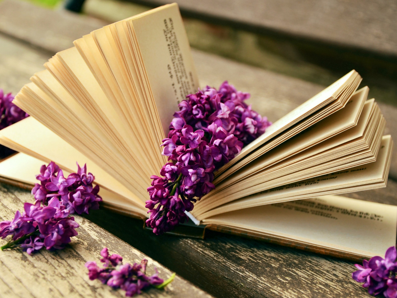 Lilac flowers and a good book wallpaper 1280x960