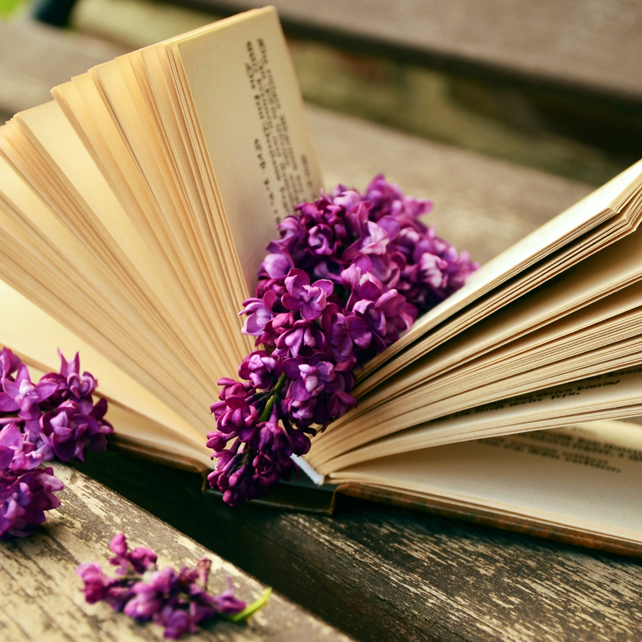 Lilac flowers and a good book wallpaper 2048x2048