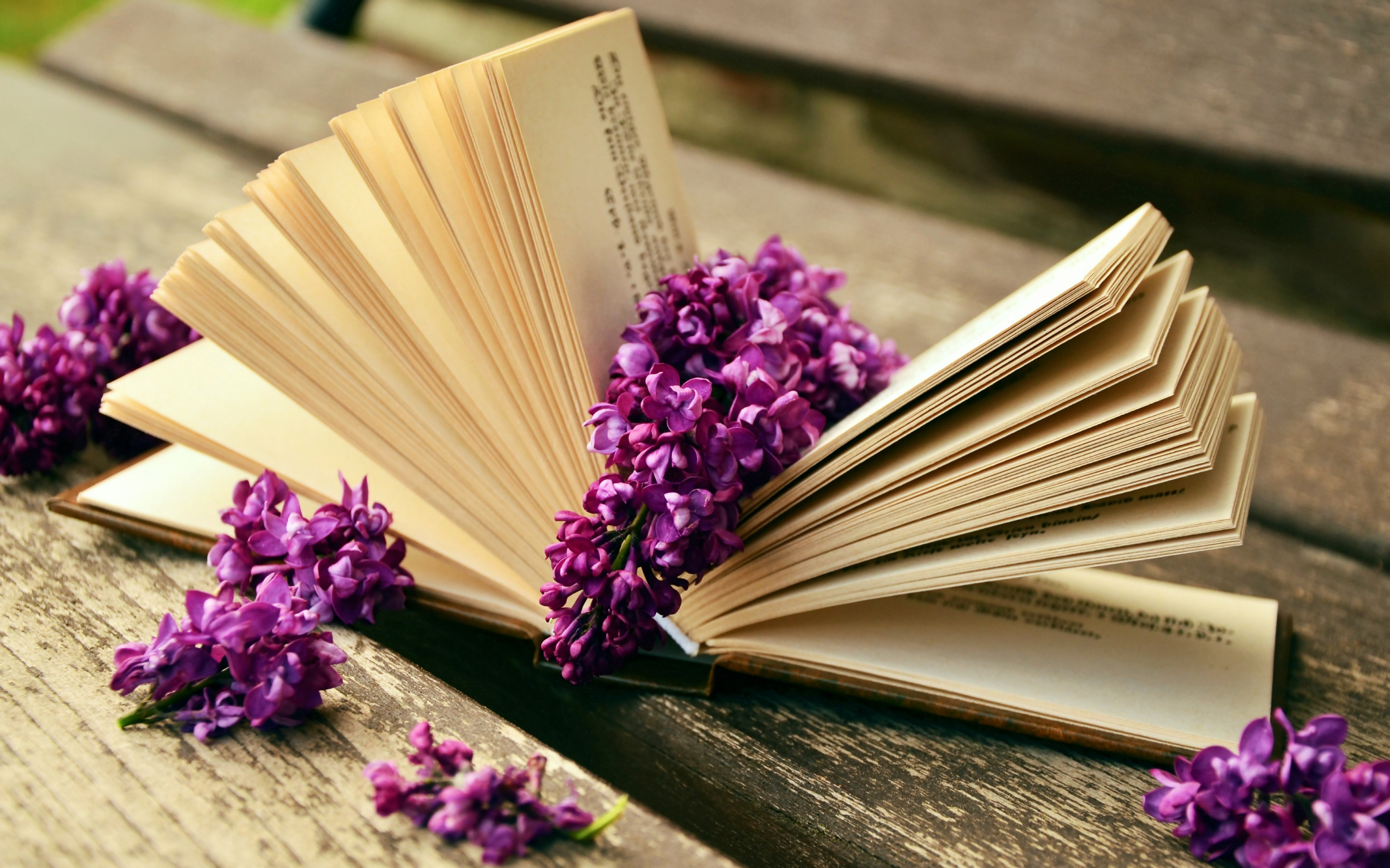Lilac flowers and a good book wallpaper 2880x1800