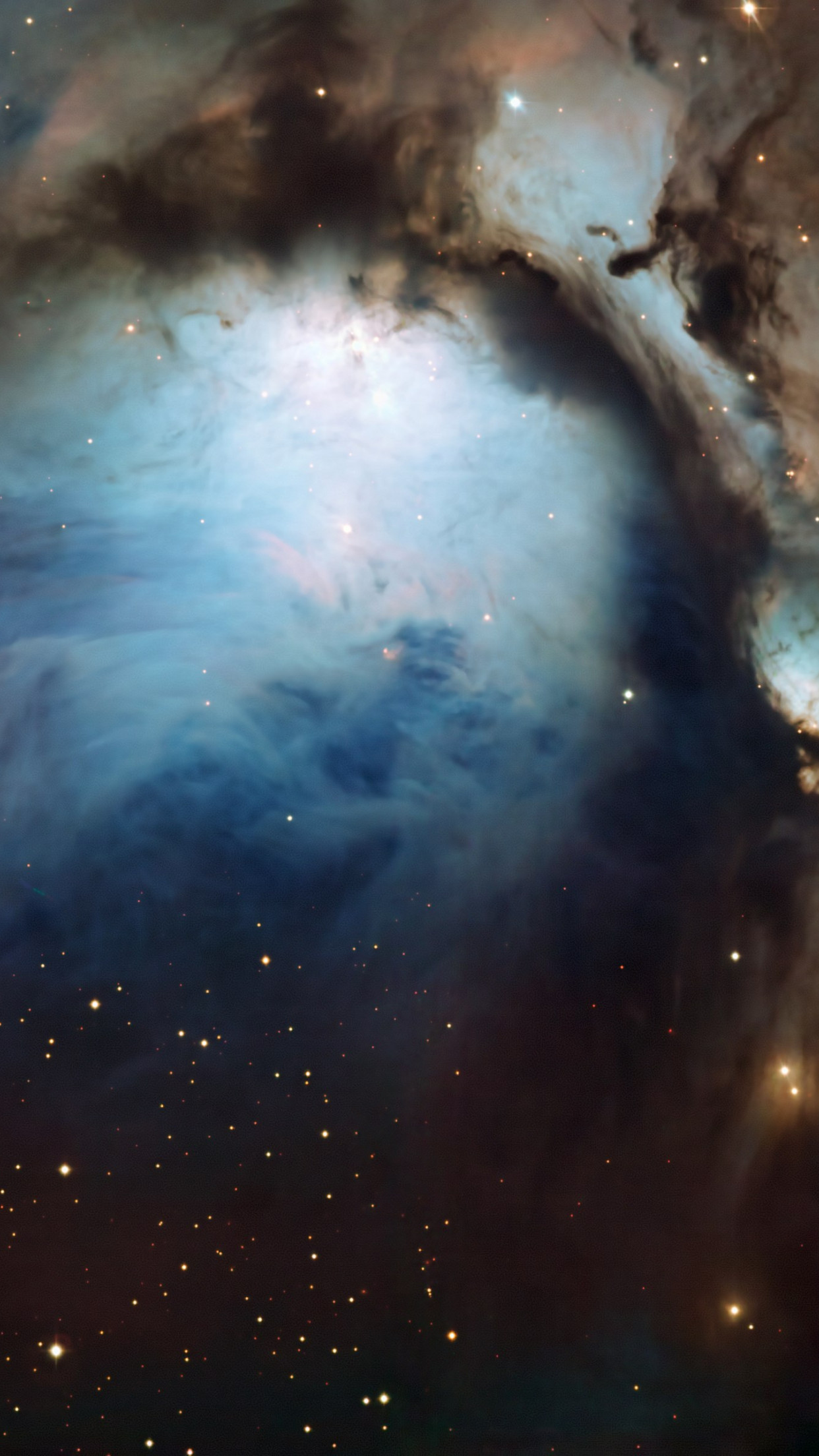 Reflection nebula in Orion wallpaper 1242x2208