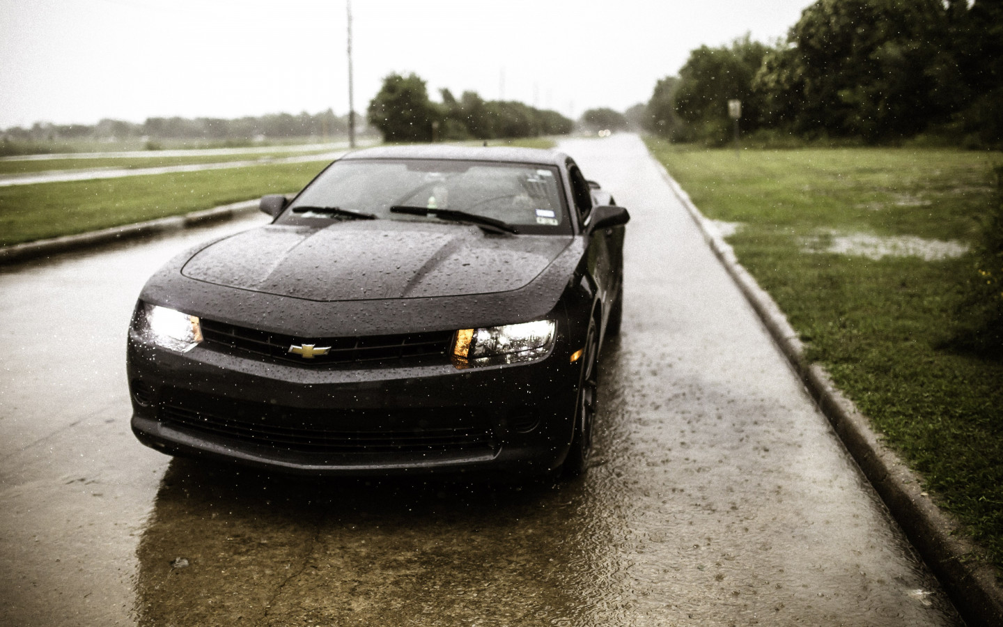 Rain on Chevrolet Camaro wallpaper 1440x900