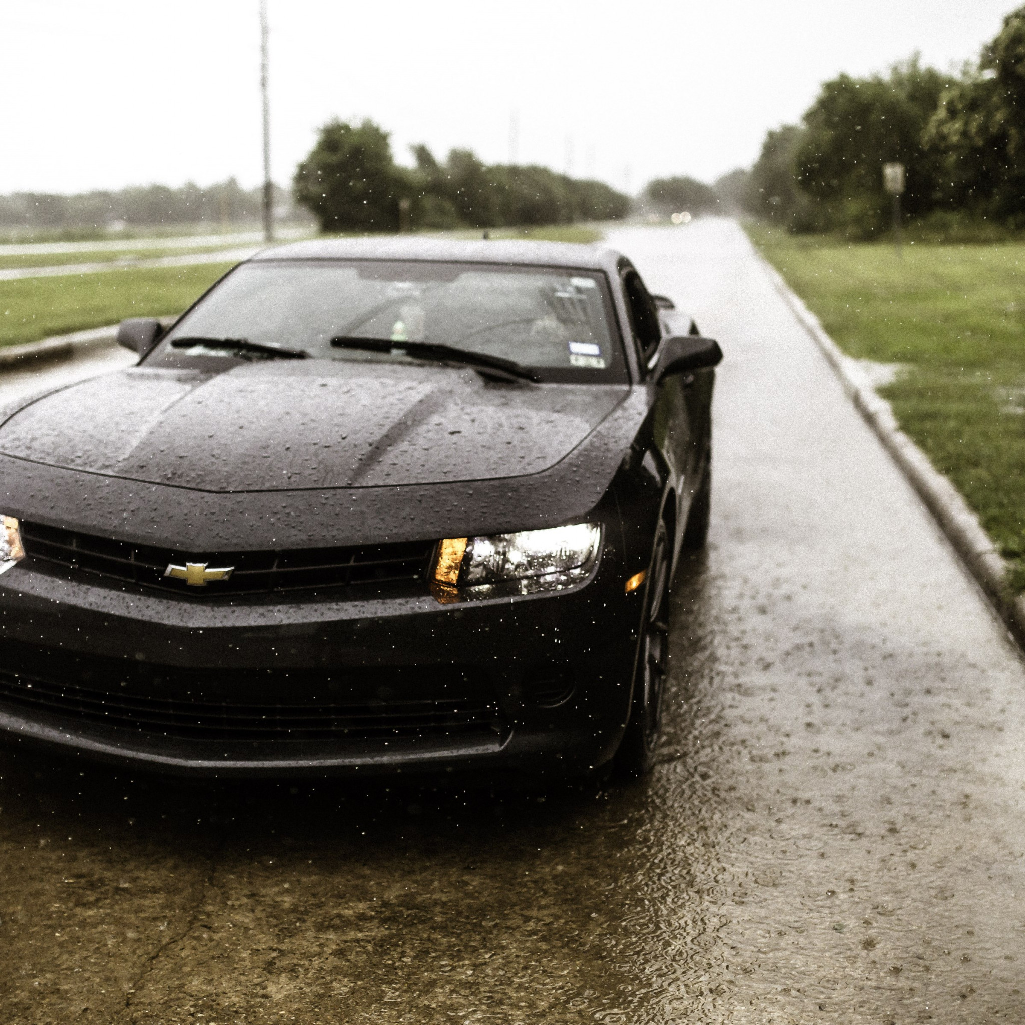 Rain on Chevrolet Camaro wallpaper 2048x2048