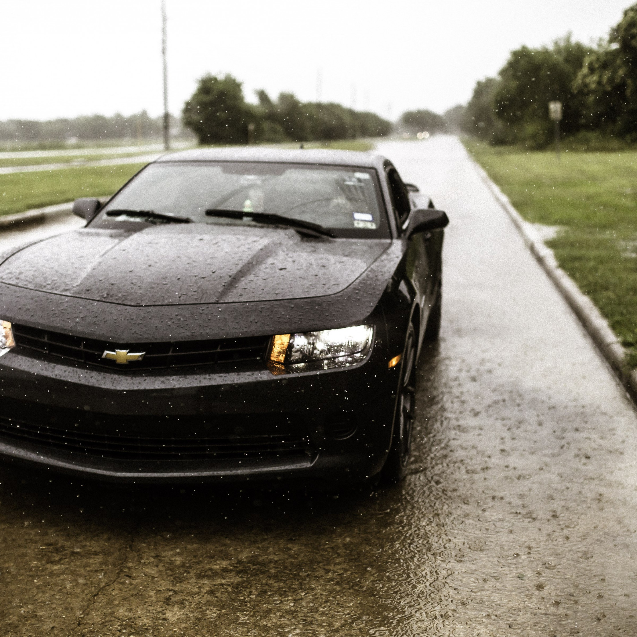 Rain on Chevrolet Camaro wallpaper 2224x2224