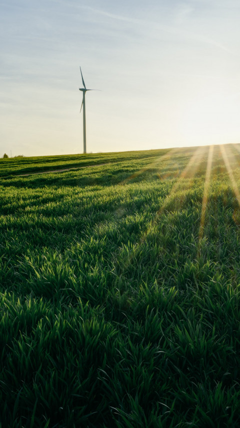 Wind turbines in green landscape wallpaper 480x854