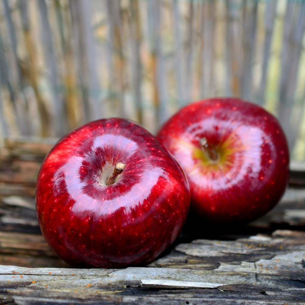 Delicious red apples wallpaper 1024x1024