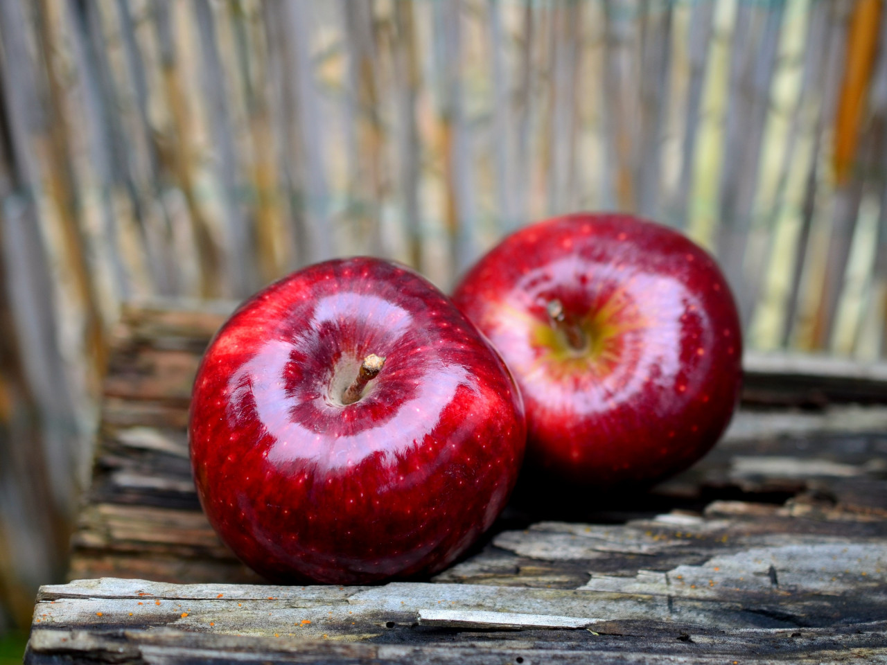 Delicious red apples wallpaper 1280x960