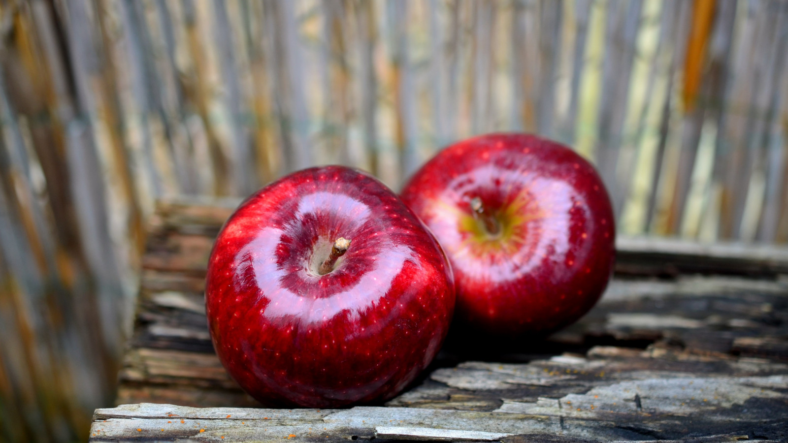 Delicious red apples wallpaper 1600x900