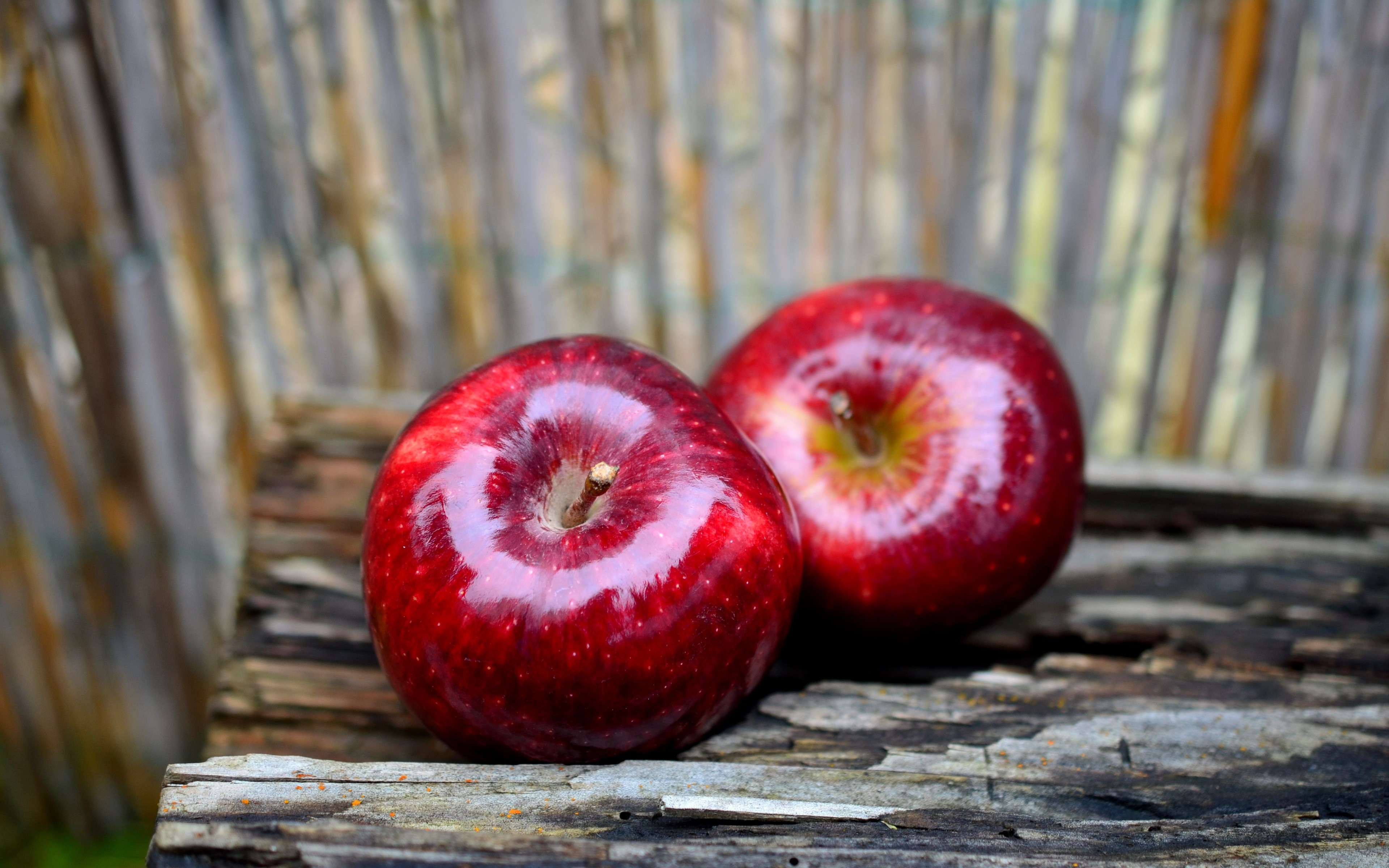 Delicious red apples wallpaper 3840x2400