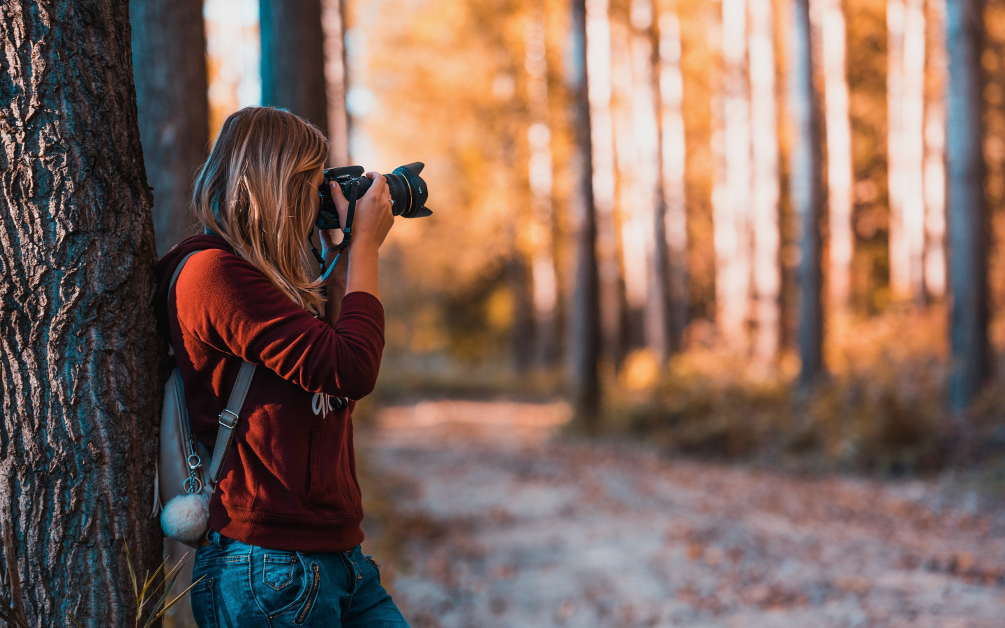 Photographer takes pictures in nature wallpaper 1440x900
