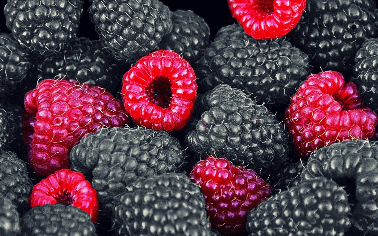 Blackberries and raspberries wallpaper 1280x800