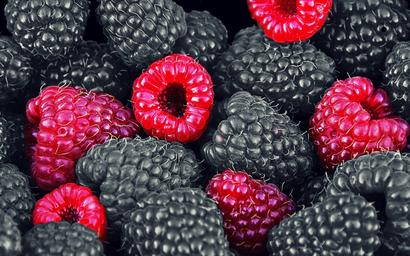 Blackberries and raspberries wallpaper 1440x900