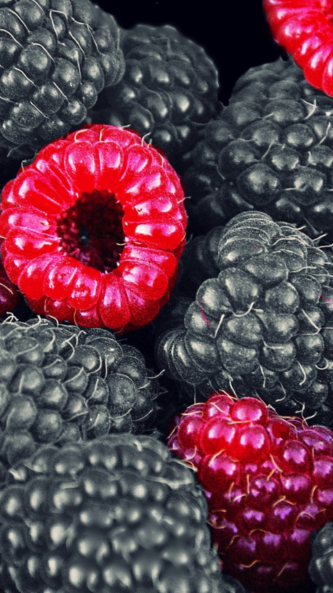 Blackberries and raspberries wallpaper 480x854