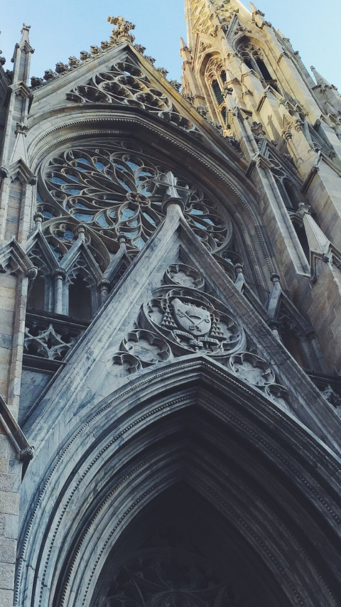 St. Patrick's Cathedral in New York wallpaper 480x854