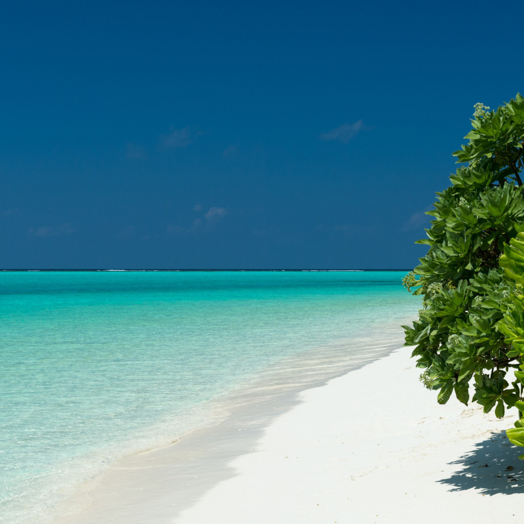 Turquoise waters of Maldives wallpaper 1024x1024