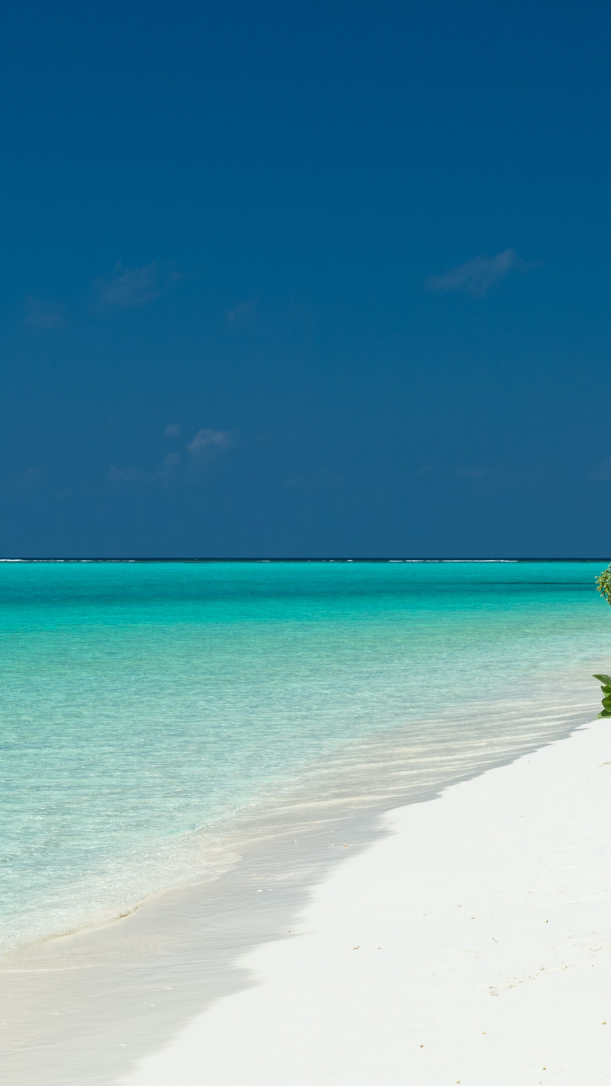 Turquoise waters of Maldives wallpaper 1242x2208