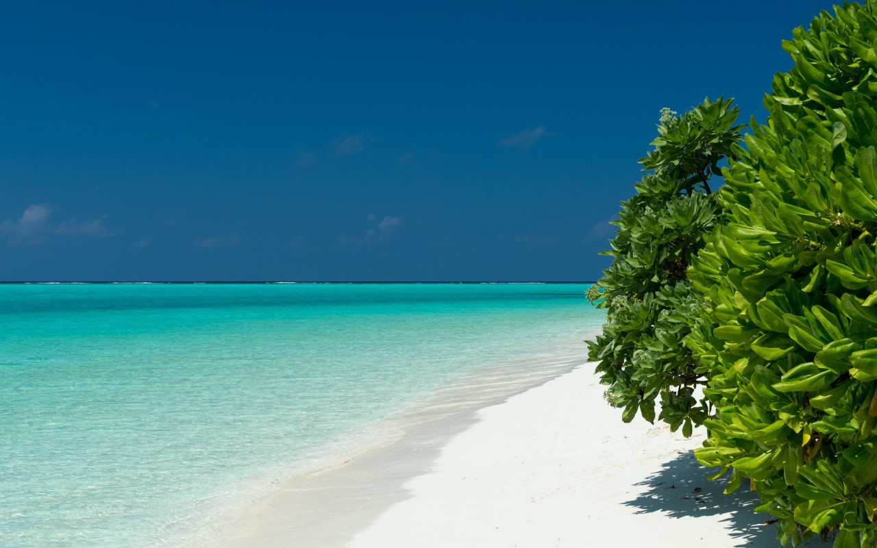Turquoise waters of Maldives wallpaper 1280x800