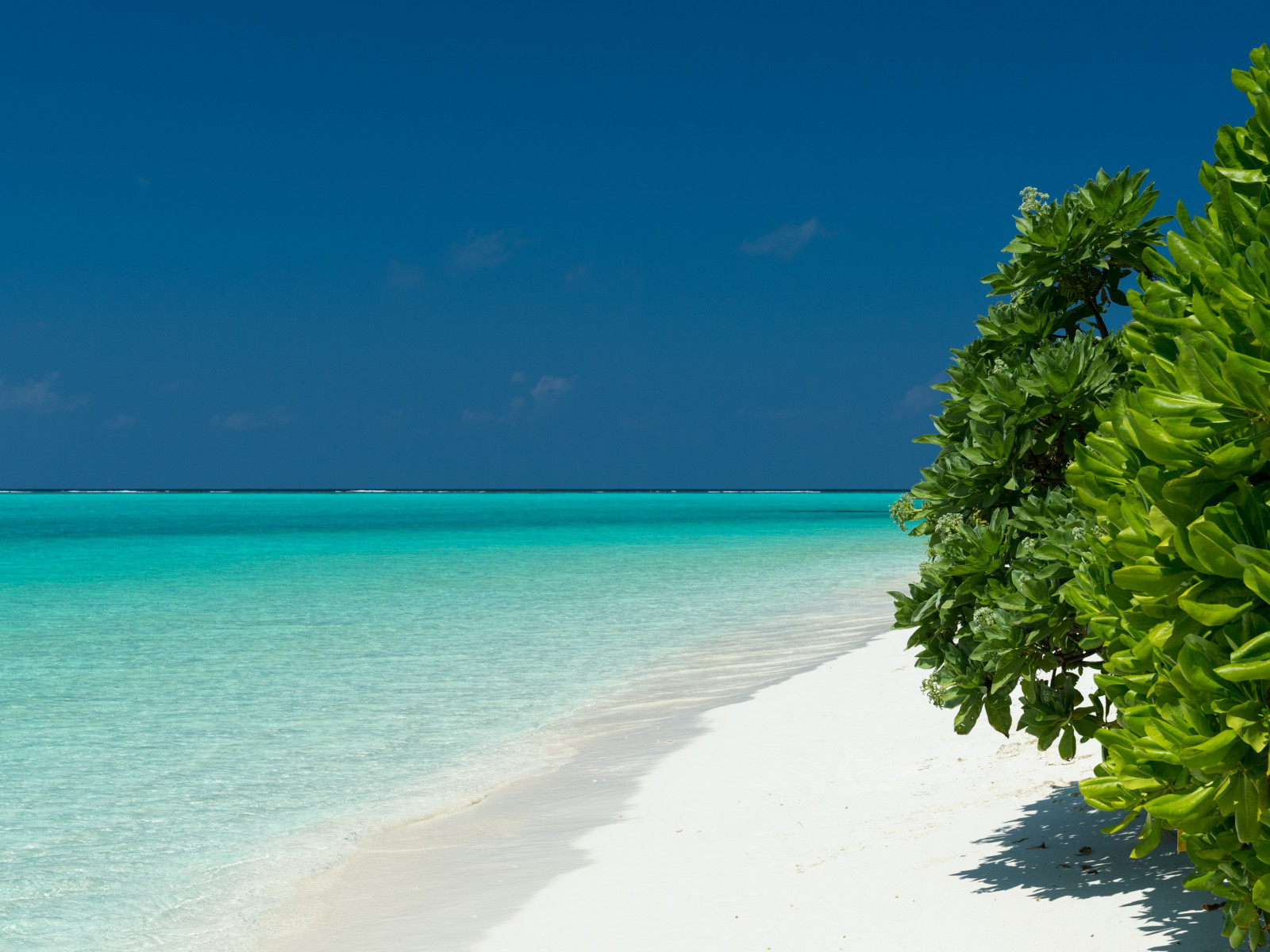 Turquoise waters of Maldives wallpaper 1600x1200