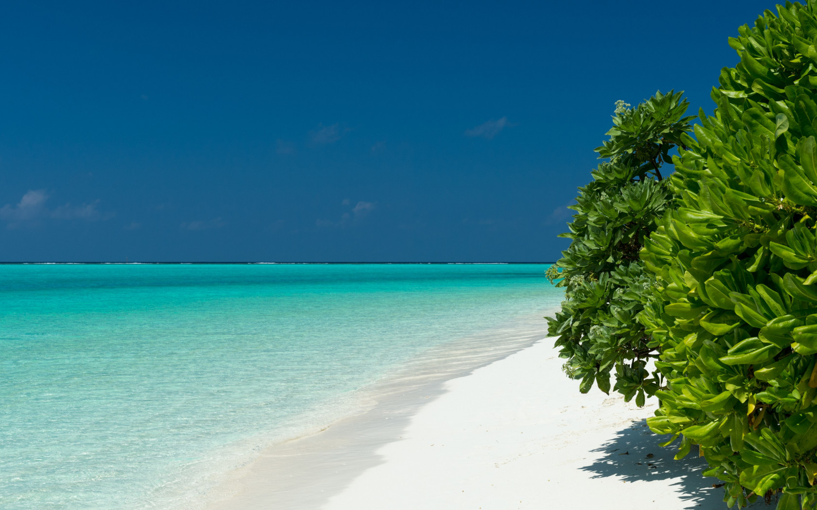 Turquoise waters of Maldives wallpaper 1680x1050
