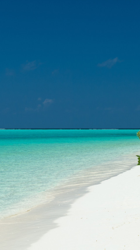 Turquoise waters of Maldives wallpaper 480x854