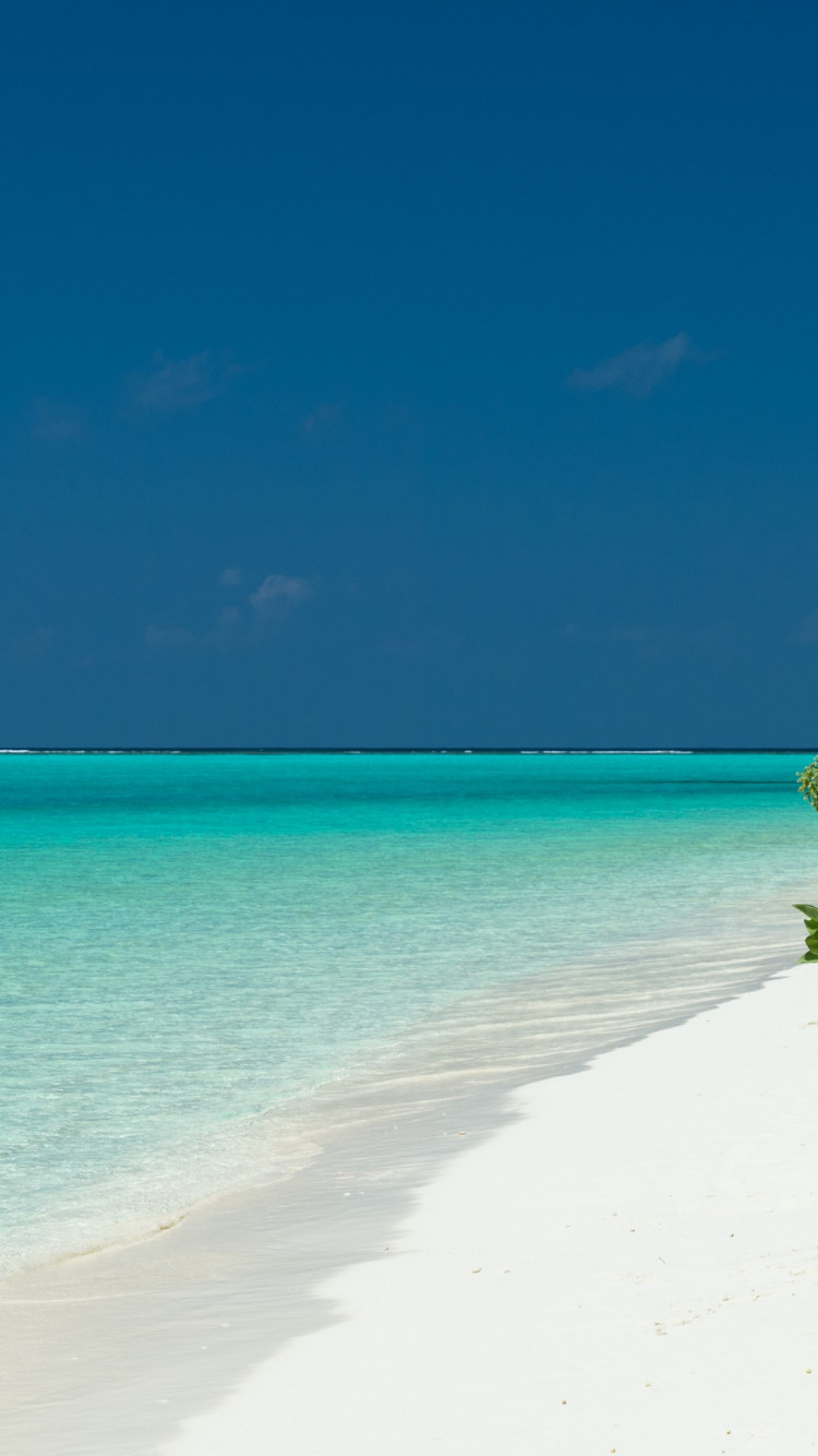 Turquoise waters of Maldives wallpaper 750x1334