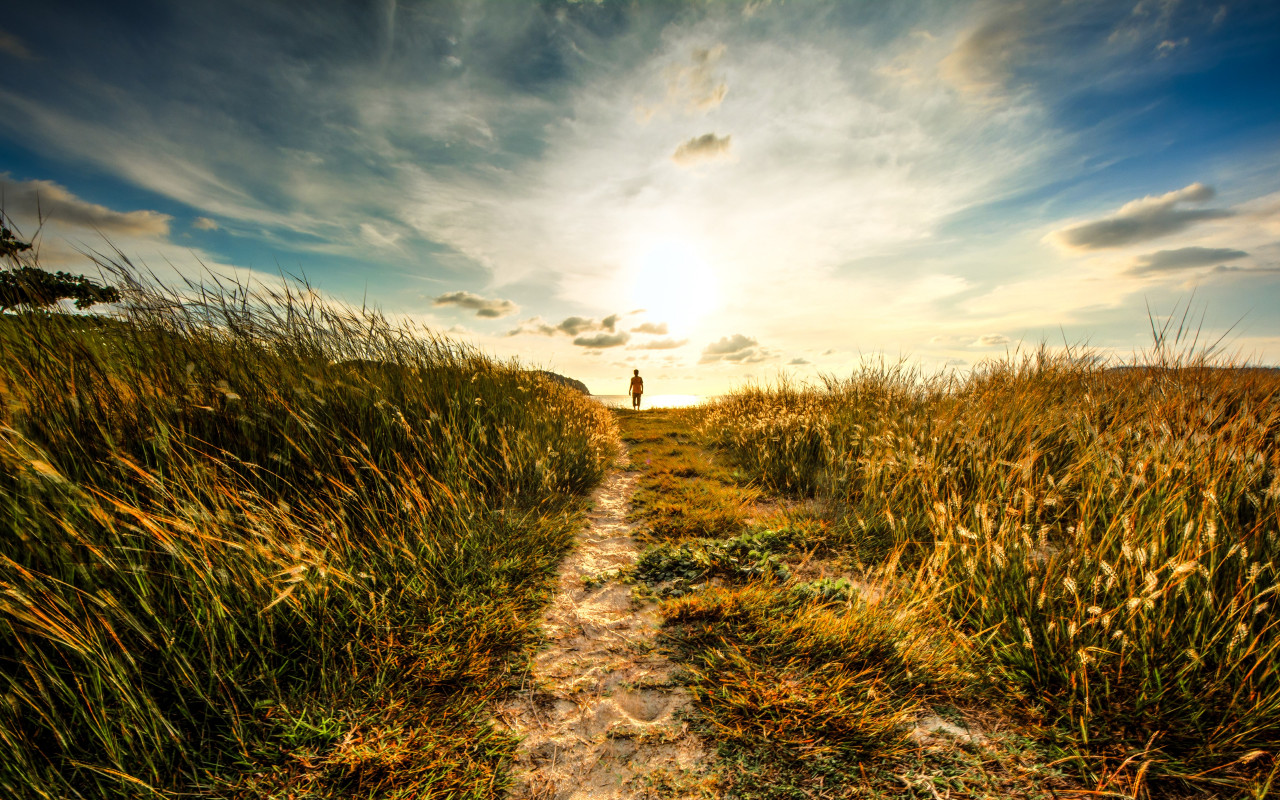 Walk to sunset on the nature path wallpaper 1280x800
