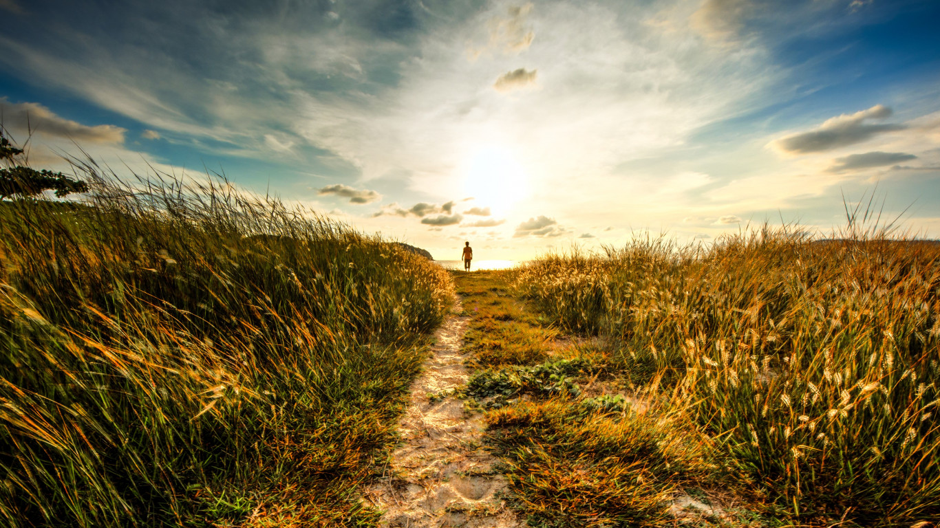 Walk to sunset on the nature path wallpaper 1366x768