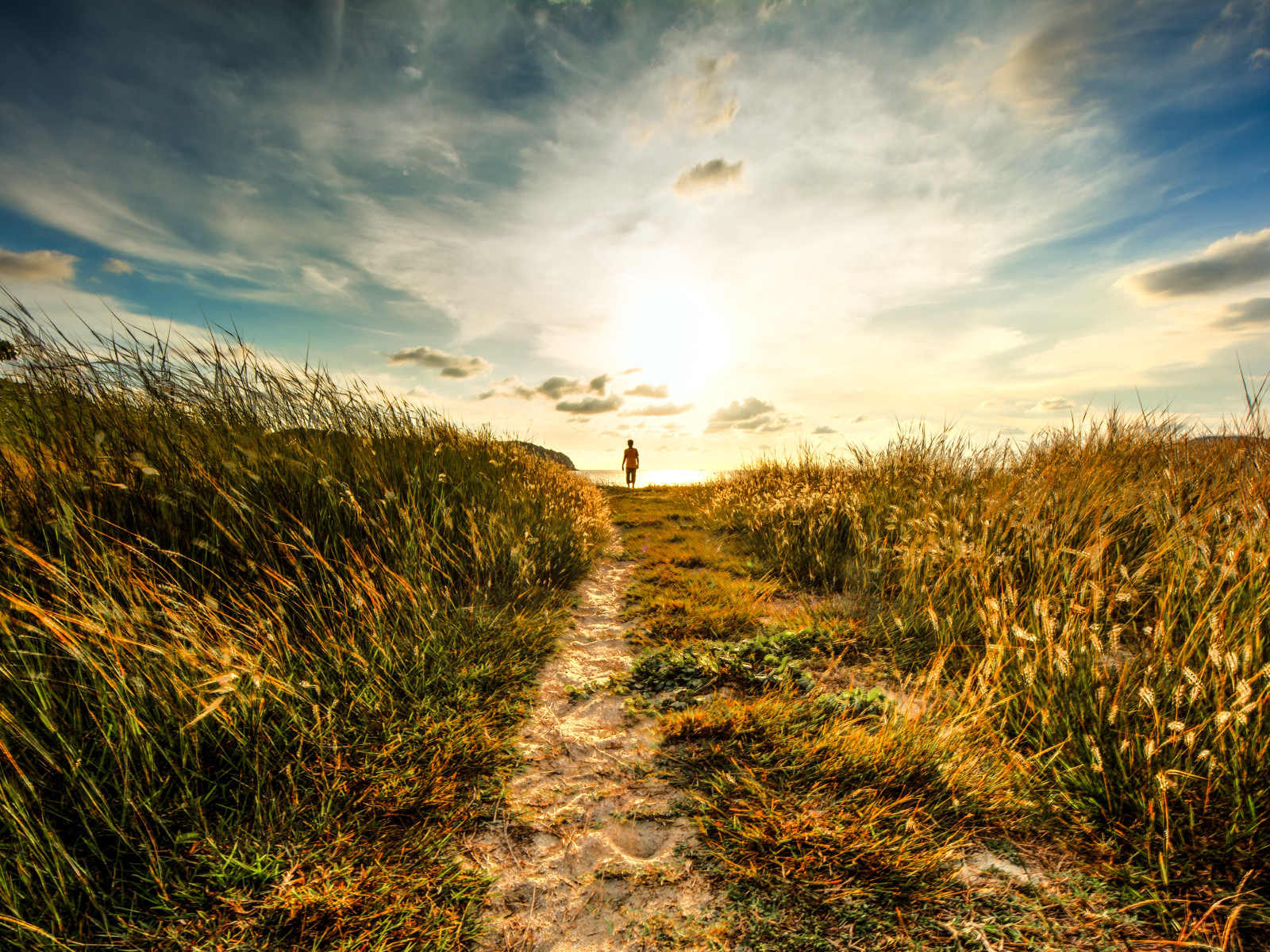 Walk to sunset on the nature path wallpaper 1600x1200