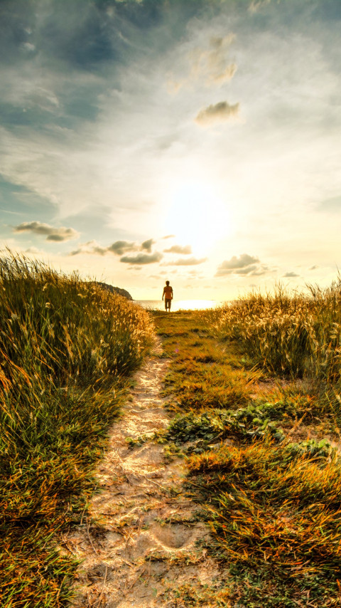 Walk to sunset on the nature path wallpaper 480x854