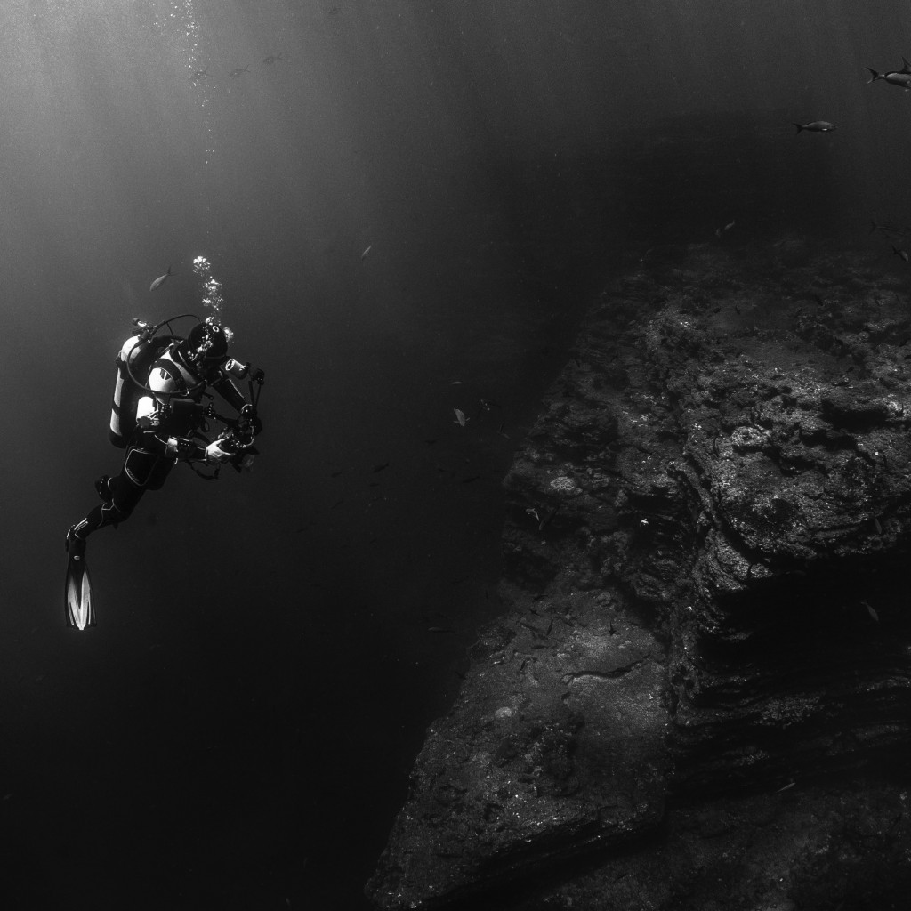 Diver in the Pacific Ocean wallpaper 1024x1024