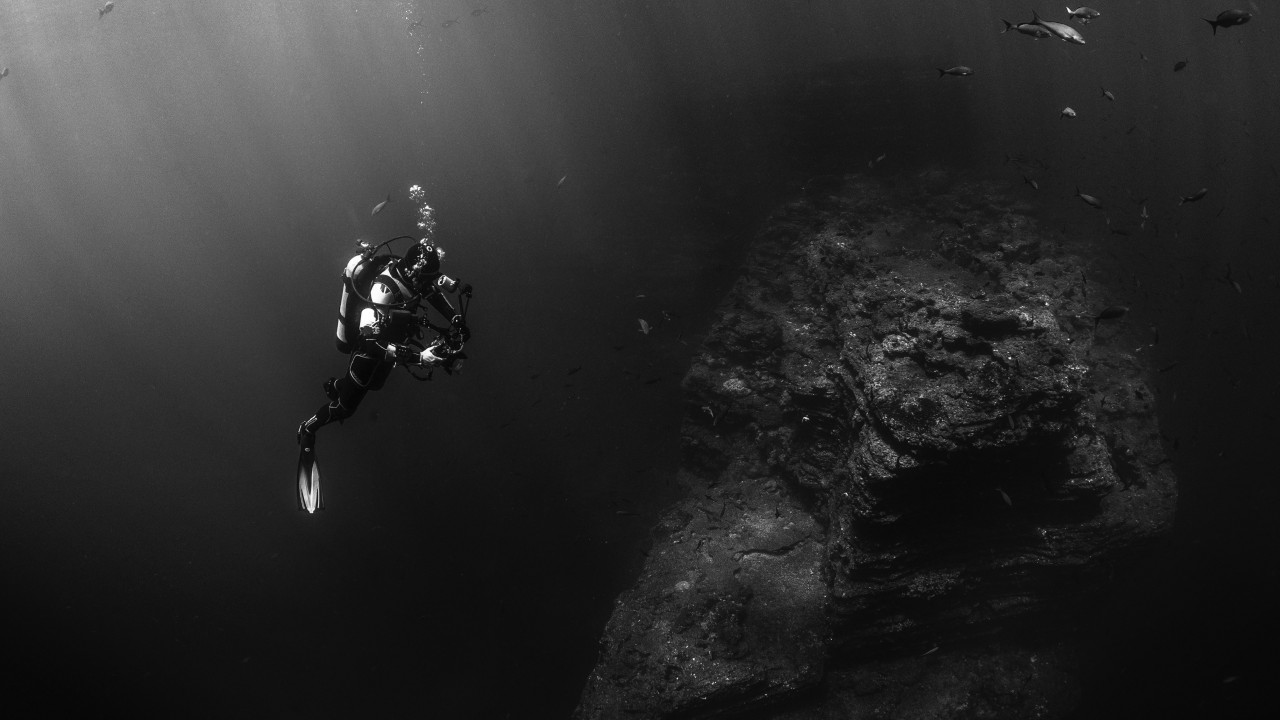 Diver in the Pacific Ocean wallpaper 1280x720